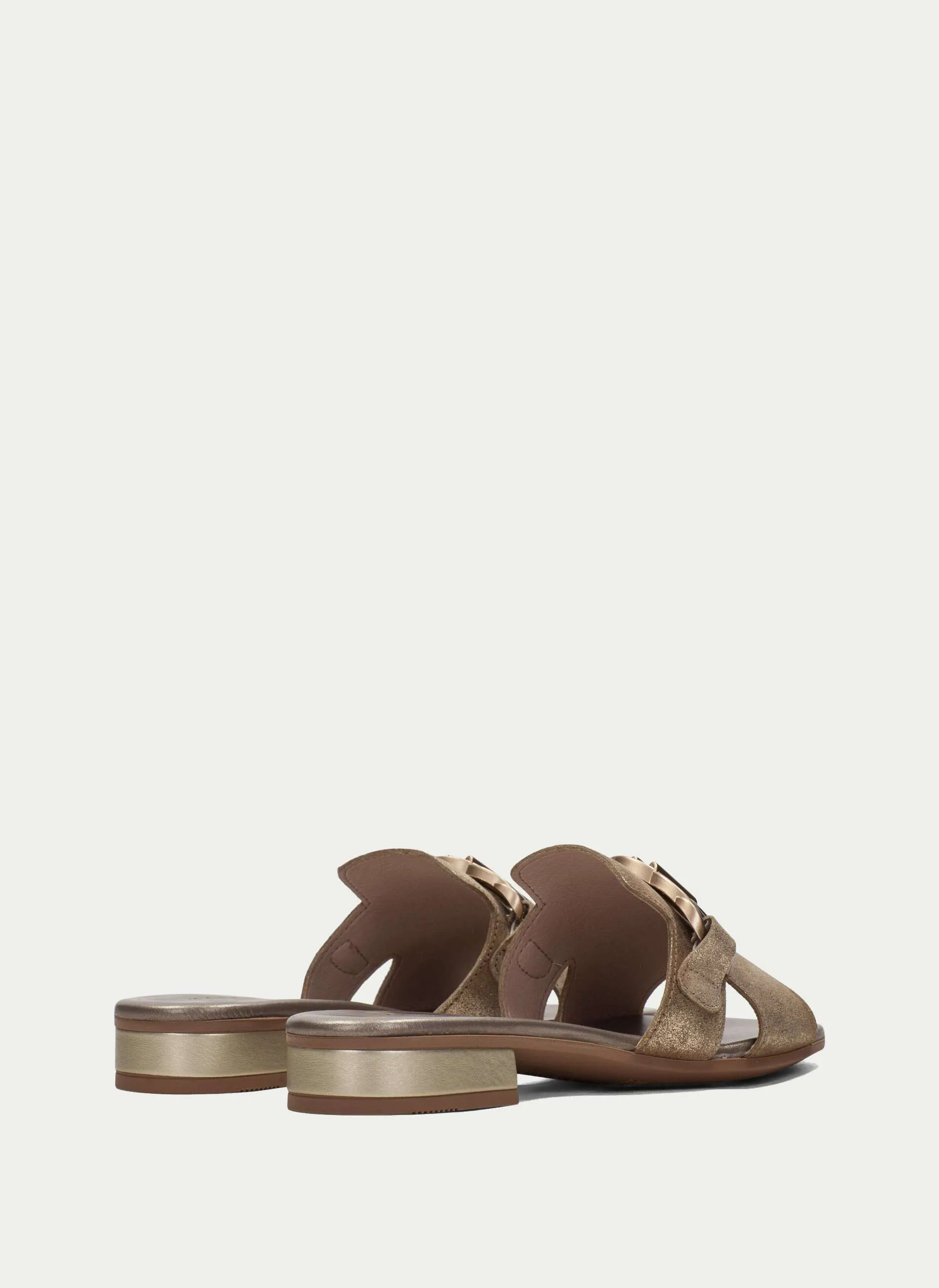 Hispanitas HV243268G- Mule