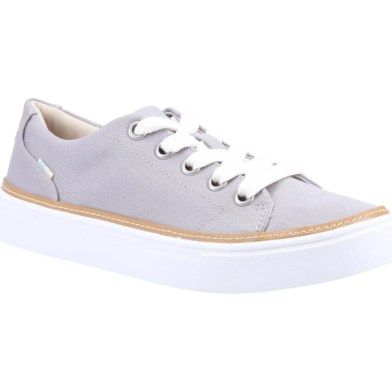 Toms Alex Canvas Trainer