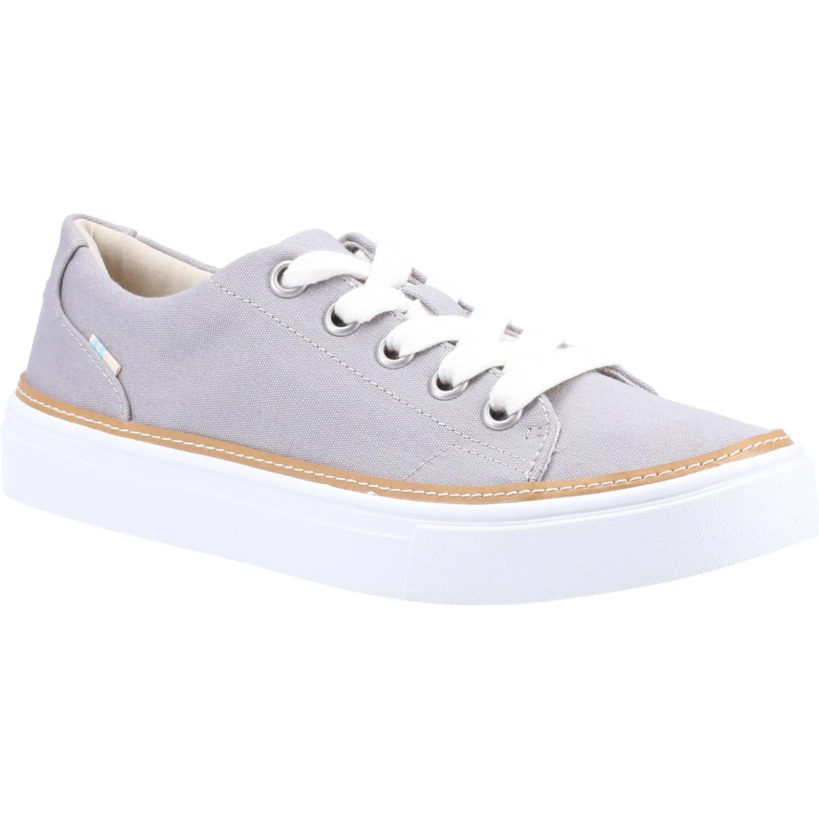 Toms Alex Canvas Trainer